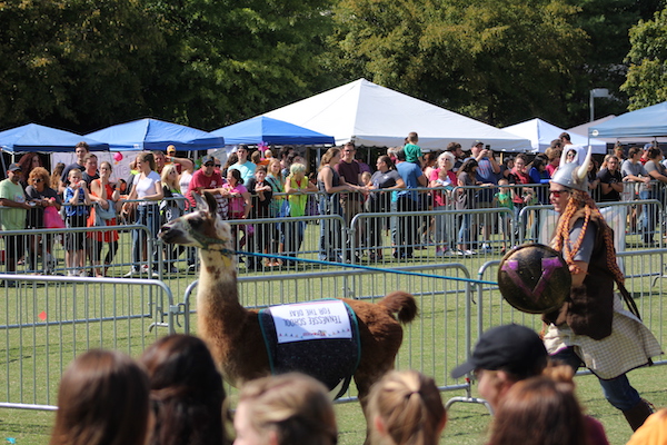 a group of people standing in front of a crowd